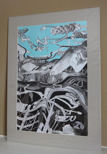 Illustration for Norfolk Museums & Archaeology Service by Lys Flowerday - MIGRATION