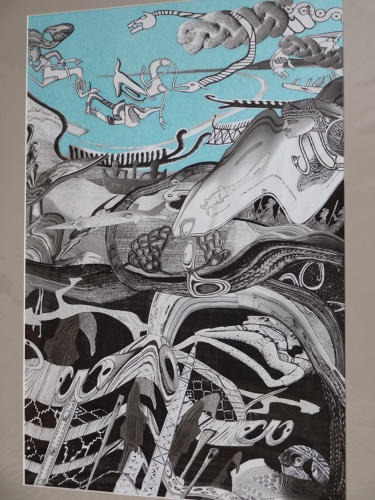 Illustration for Norfolk Museums & Archaeology Service by Lys Flowerday - MIGRATION