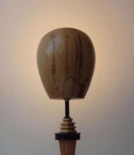 Unique sculptural lamp - Avant La Lettre - by Gilles Bourlet Foss Street Dartmouth